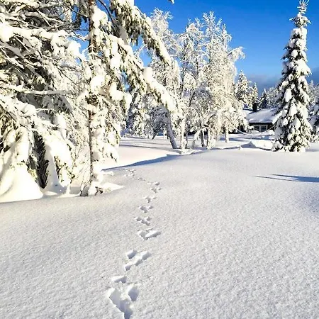 The Sound Of Silence!